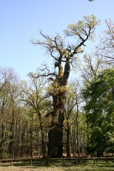 Killikus&reg; Fotographie